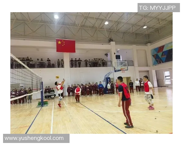 武汉排球队排球战术解析与控制体系的全面探讨与应用